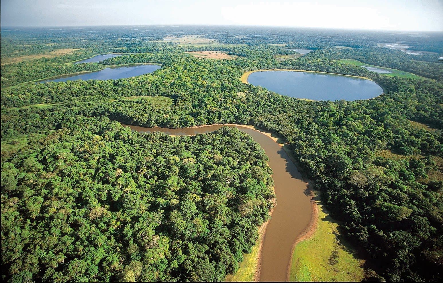 This much water, this much forest, it takes a small plane to take it all in. Aerial view of a southern pantanal safari landscape showing a winding brown river, dense gallery forest, and multiple oxbow lagoons stretching to the horizon