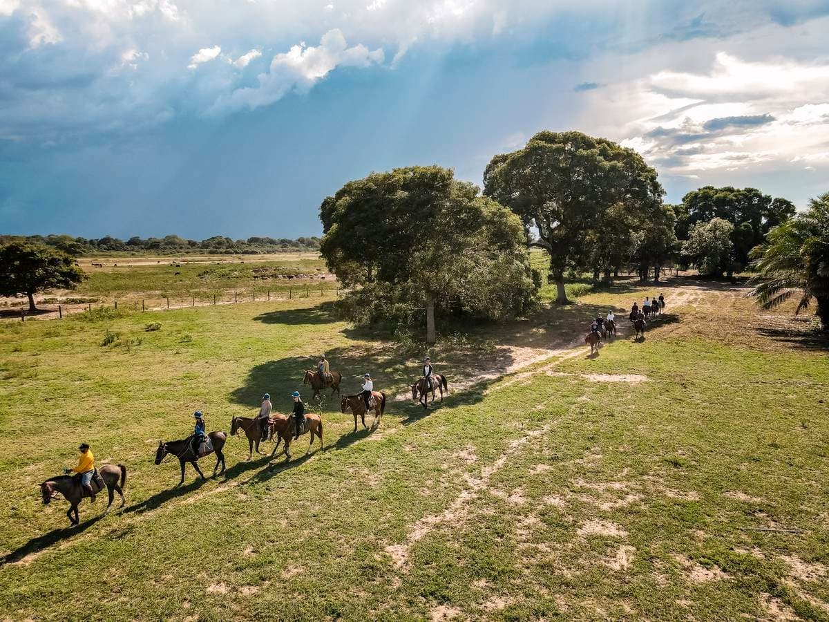 Single file across the floodplain, a storm building on the horizon and nobody rushing. Aerial view of a group of riders on horseback following a winding dirt track through open green floodplain fields on a southern pantanal safari, with large trees and a dramatic storm-lit sky in the background