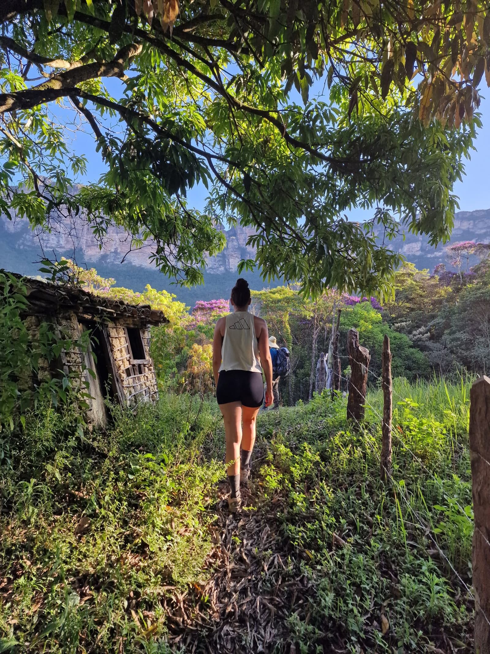Old walls, new legs, and the whole valley still ahead of you. Photo: Rasmus Soeby A hiker walks a dirt trail past an overgrown abandoned stone house on a Chapada Diamantina trek, with sandstone cliffs and pink-flowering trees visible in the distance under a clear blue sky.