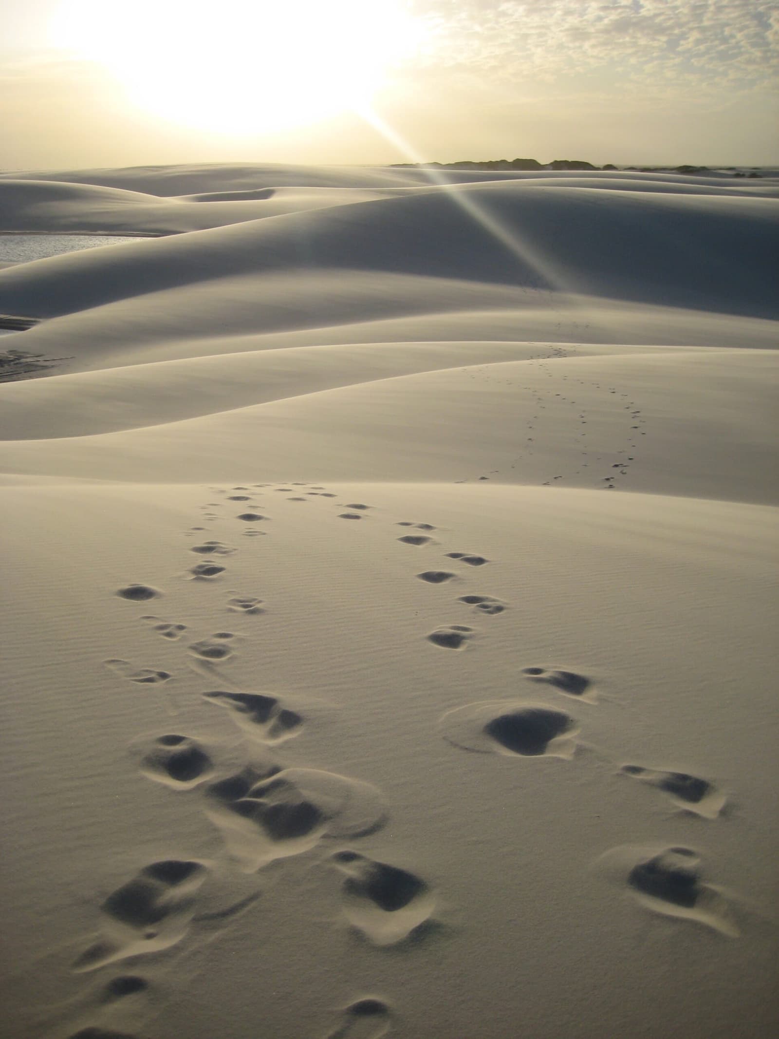 Someone walked these dunes before you. Their footprints won't last long. Photo 3