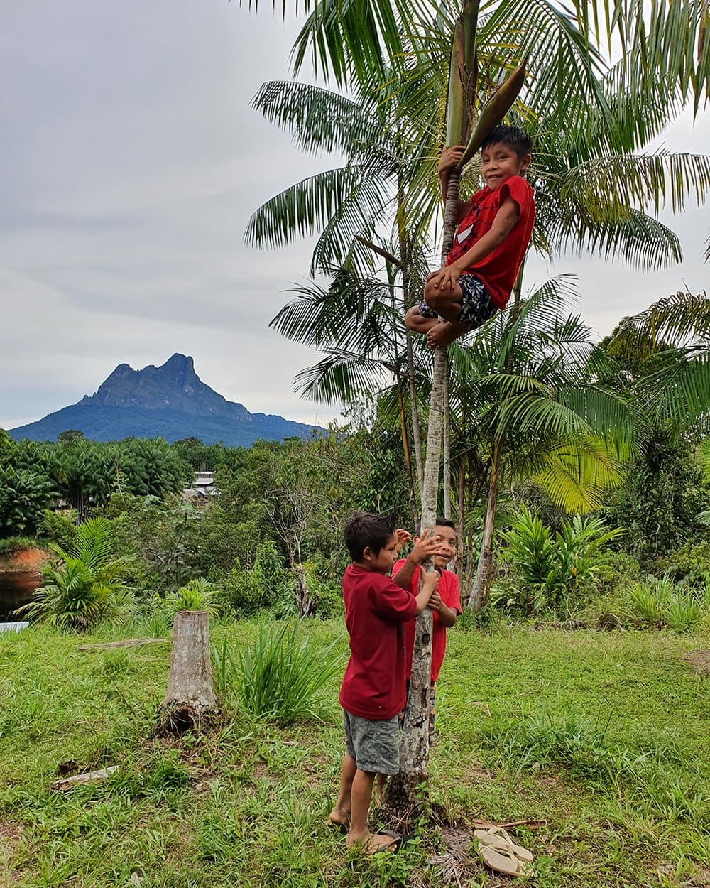 One up, two coaching, the classic system, perfected in the Amazon. Three young boys in matching red shirts play around a palm tree in a lush green clearing during the Pico da Neblina Expedition, with a dramatic rocky peak rising above the rainforest canopy in the background