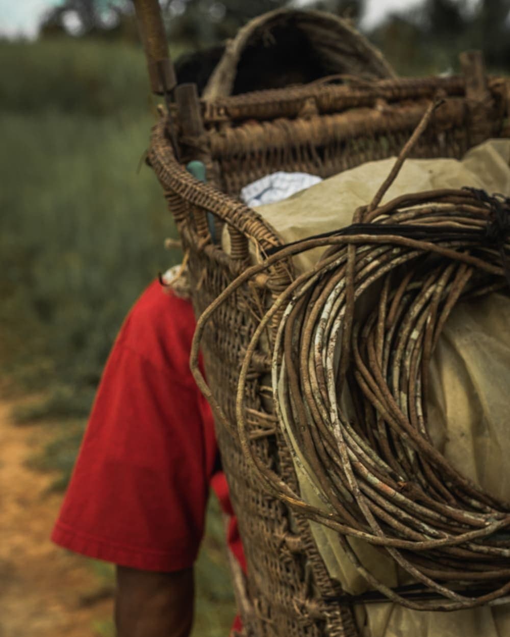 Everything the forest needs, packed into one basket built by the forest itself. Close-up of a large handwoven wicker backpack loaded with supplies and coiled vines, carried by a person in a red shirt along a dirt trail in the Amazon, on the Pico da Neblina Expedition