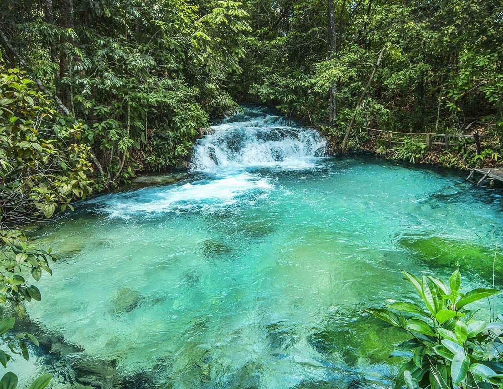 That color is real. No filter, no trick, just the cerrado doing its thing. A small cascade on a Jalapão trekking route tumbles into a wide, crystal-clear turquoise pool surrounded by dense green forest