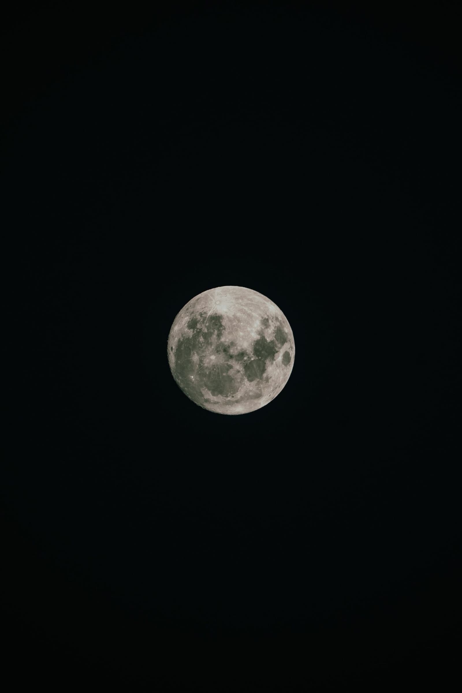 No light pollution, no distractions. Just the moon doing its thing. A full moon with clearly visible craters glowing against a completely black night sky during the Pico da Neblina Expedition