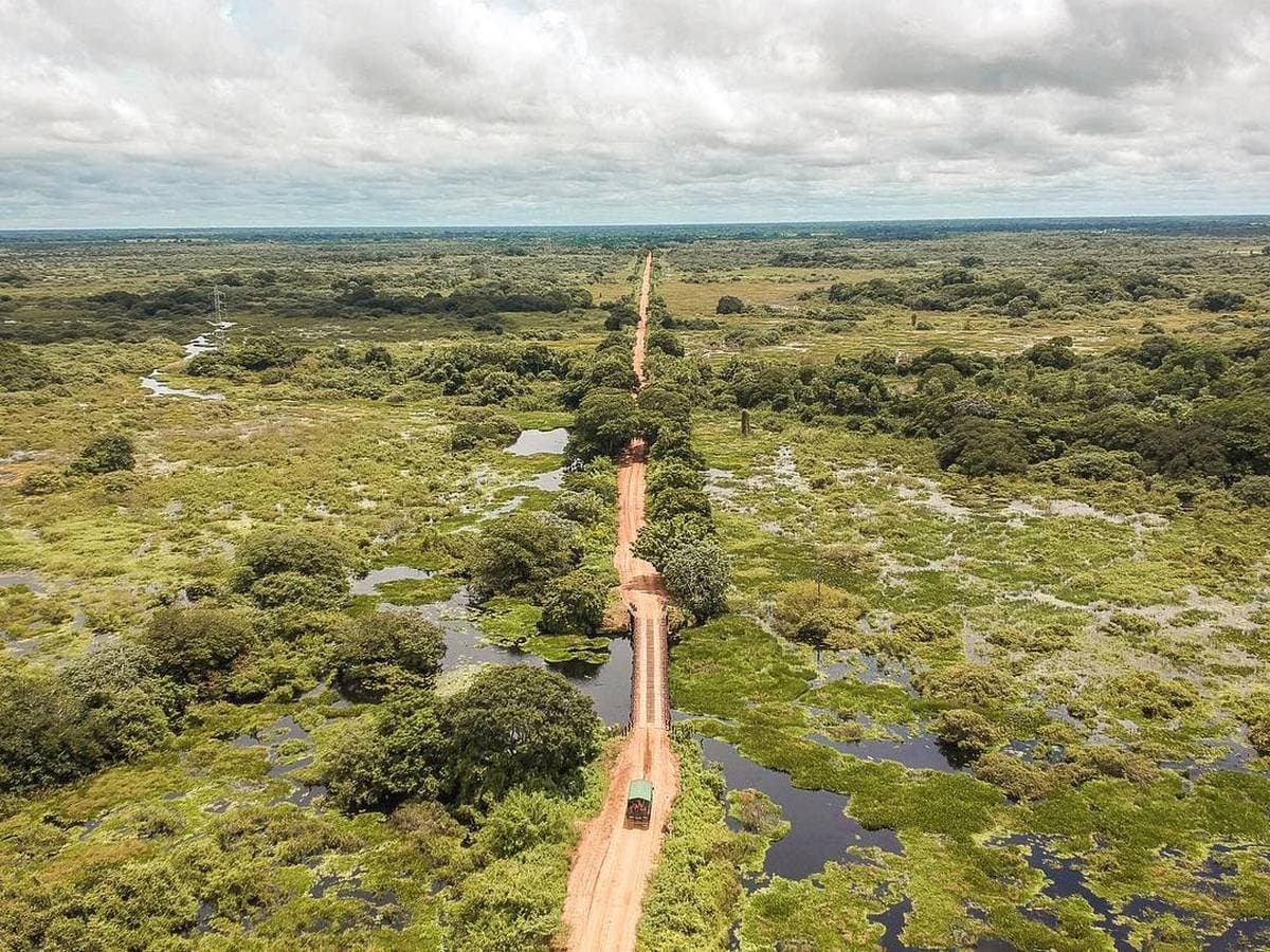 A single dirt road, a wooden bridge, and about a thousand kilometres of wetland saying hello. Aerial view of a red dirt road cutting straight through the southern pantanal safari landscape, with a green-roofed 4x4 vehicle crossing a narrow wooden bridge surrounded by flooded grasslands, dark lagoons, and scattered tree clusters stretching to the horizon.