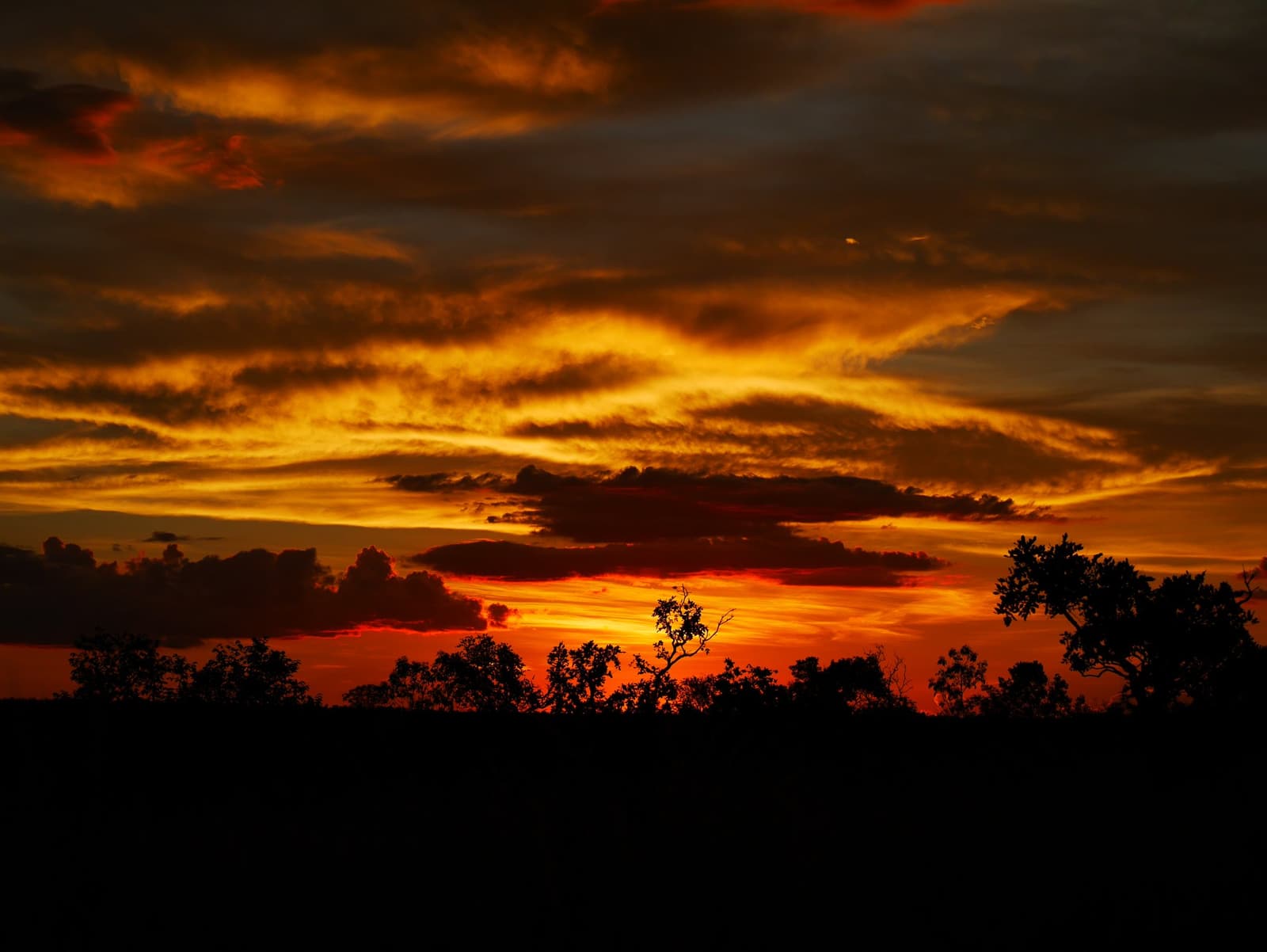 That sky isn't a filter. It's just how Jalapão says goodnight. Intense orange and red sunset sky over silhouetted cerrado tree canopy on a jalapão trip, with dramatic layered clouds glowing gold above the darkened landscape