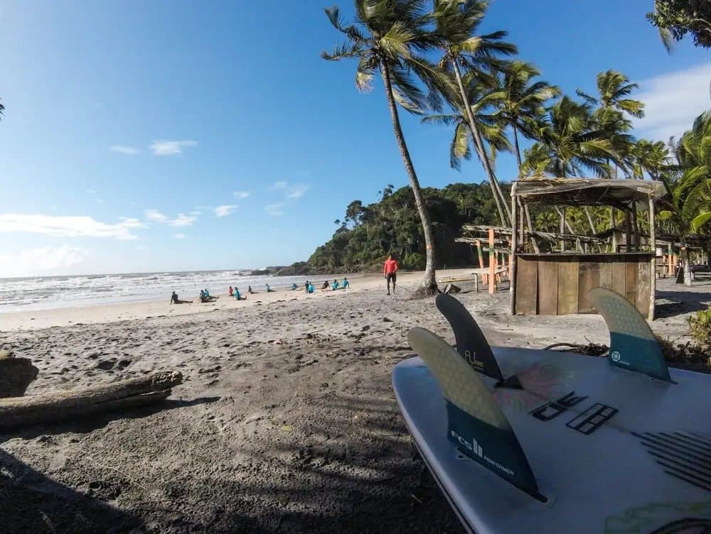 Boards down, feet in the sand, class is already in session. A surfboard with FCS fins rests on the sand at a surf school in Itacaré, while a group of students practise on the shore in front of palm trees and Atlantic forest.