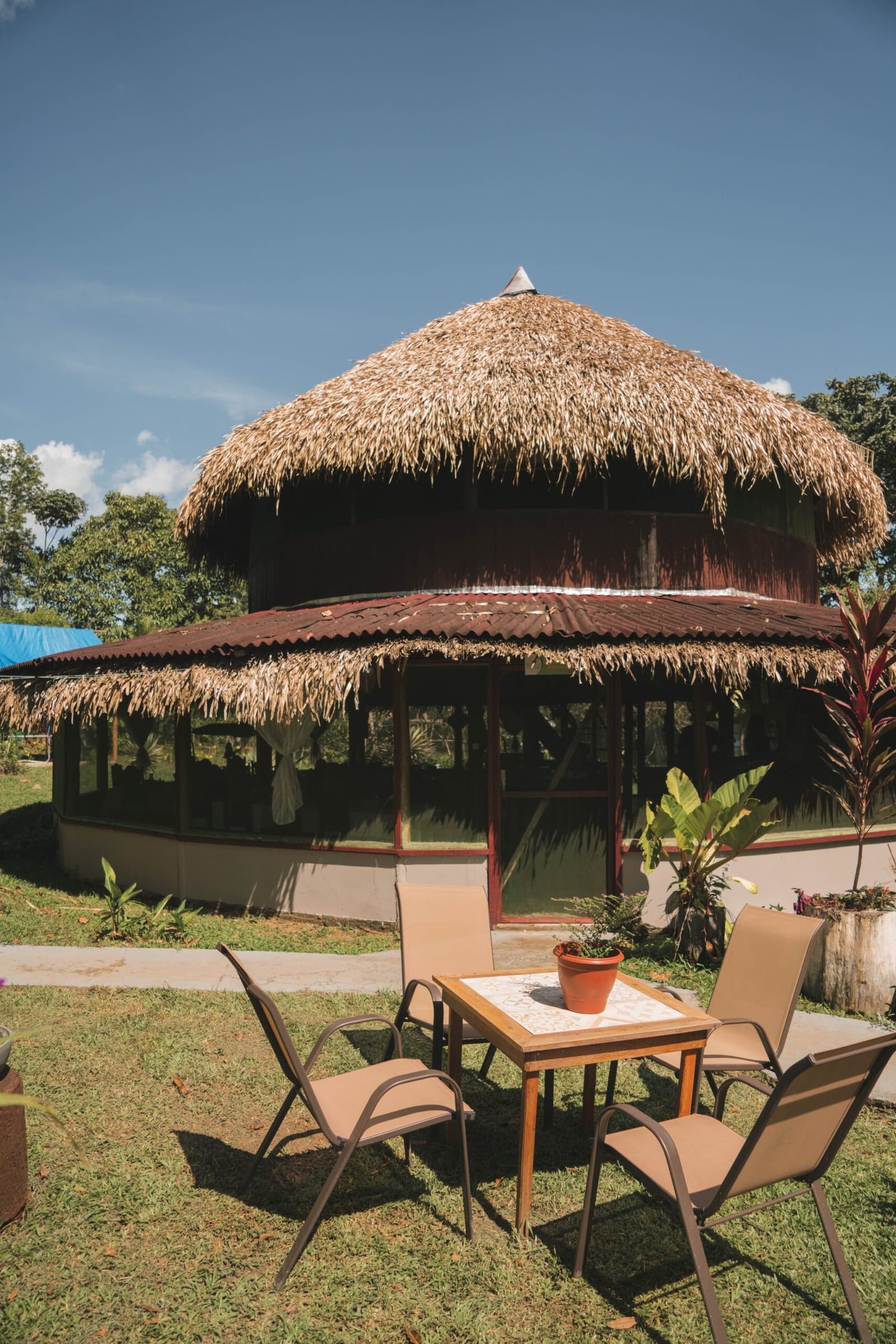 Pull up a chair, the jungle starts right past that thatch. A two-storey circular building with a thick thatched roof at the Amazon Turtle Lodge, surrounded by tropical greenery, with a small outdoor table and chairs set on the lawn in the foreground