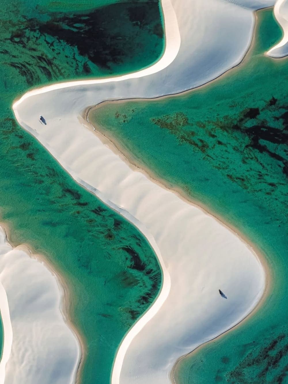 Two tiny figures remind you just how big this place really is. Aerial view of sinuous white sand banks weaving between vivid turquoise lagoon channels in Lençóis Maranhenses Full Itinerary landscapes, with two tiny human figures visible on the dunes below