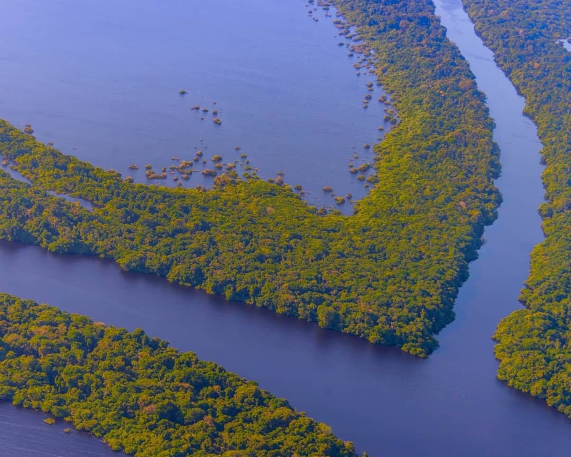 15 Facts About the Amazon Rainforest in Brazil 15 Facts About the Amazon Rainforest in Brazil