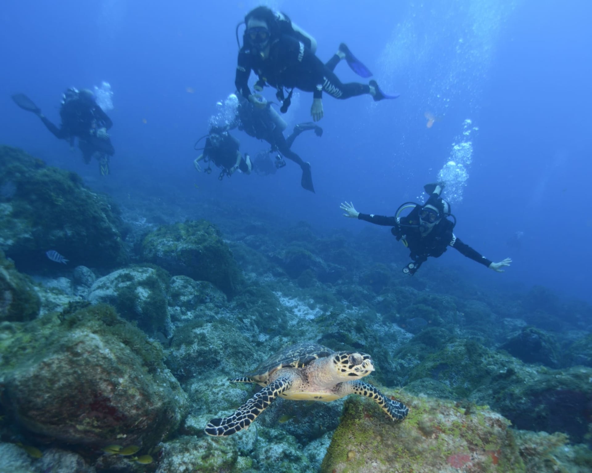 A Father and Daughter Expedition Through the Waters of Fernando de Noronha A Father and Daughter Expedition Through the Waters of Fernando de Noronha