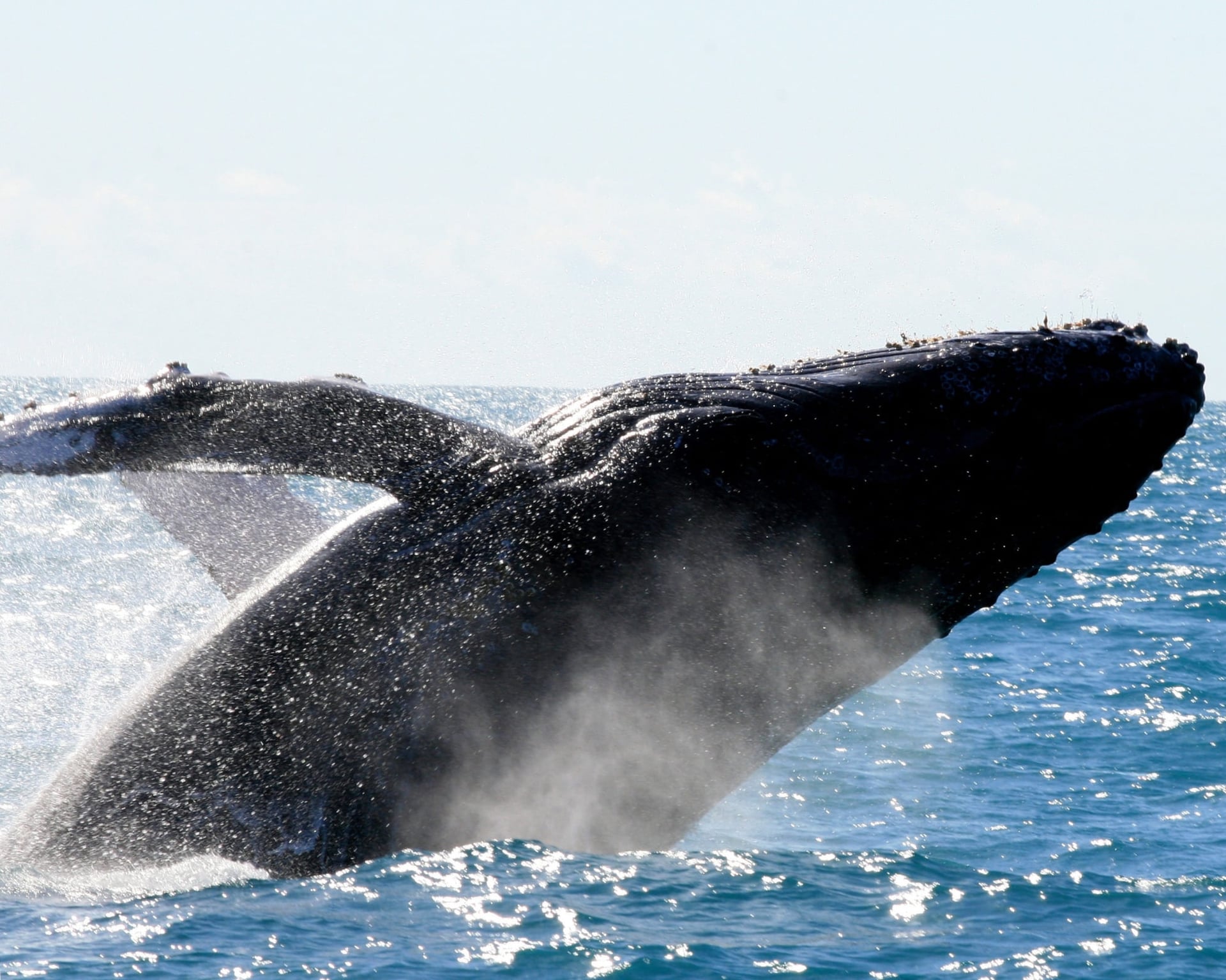 The Abrolhos Archipelago in Brazil – Travel Guide The Abrolhos Archipelago in Brazil – Travel Guide