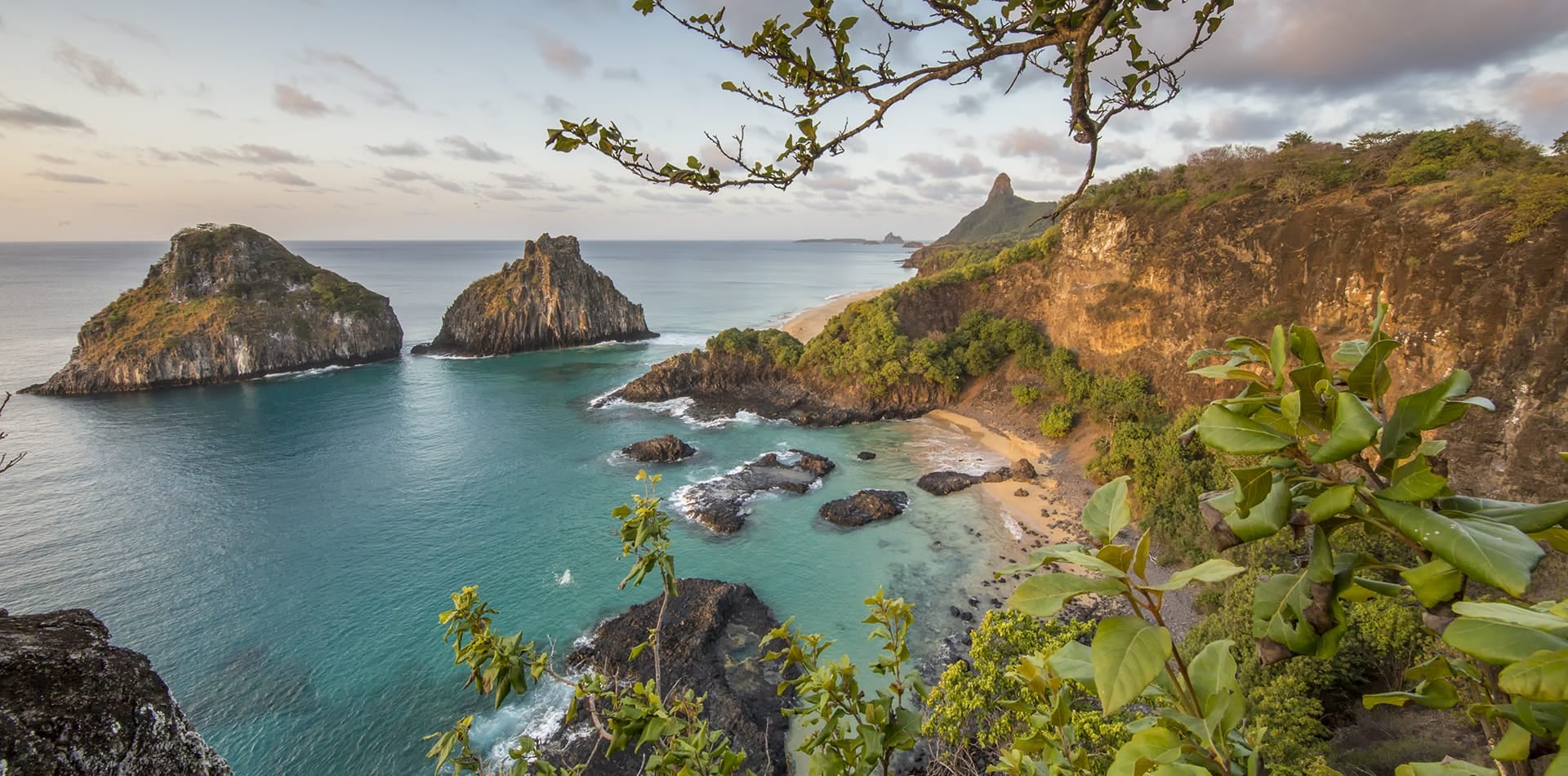 Diving in Fernando de Noronha: 2026 Ultimate Guide Diving in Fernando de Noronha: 2026 Ultimate Guide
