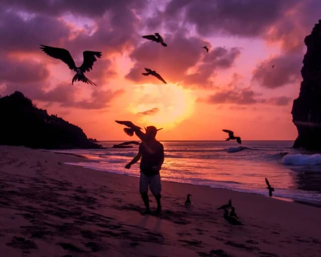 15 ecotourism destinations in Brazil to explore in 2026 15 ecotourism destinations in Brazil to explore in 2026