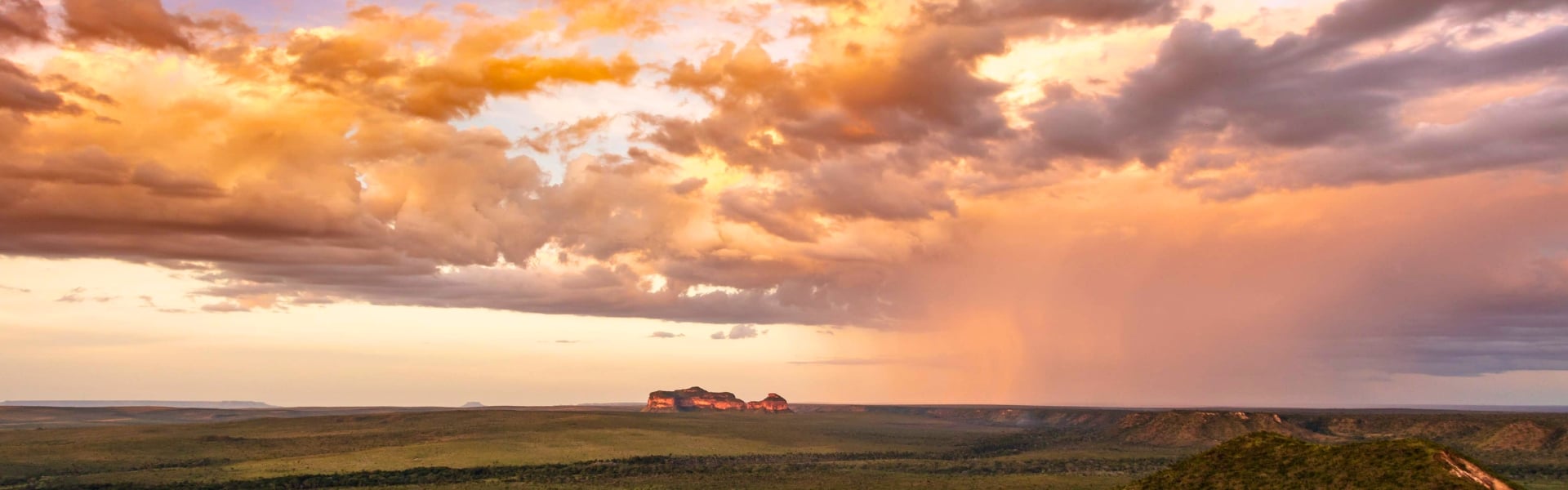 How to visit the Cerrado in Brazil? How to visit the Cerrado in Brazil?