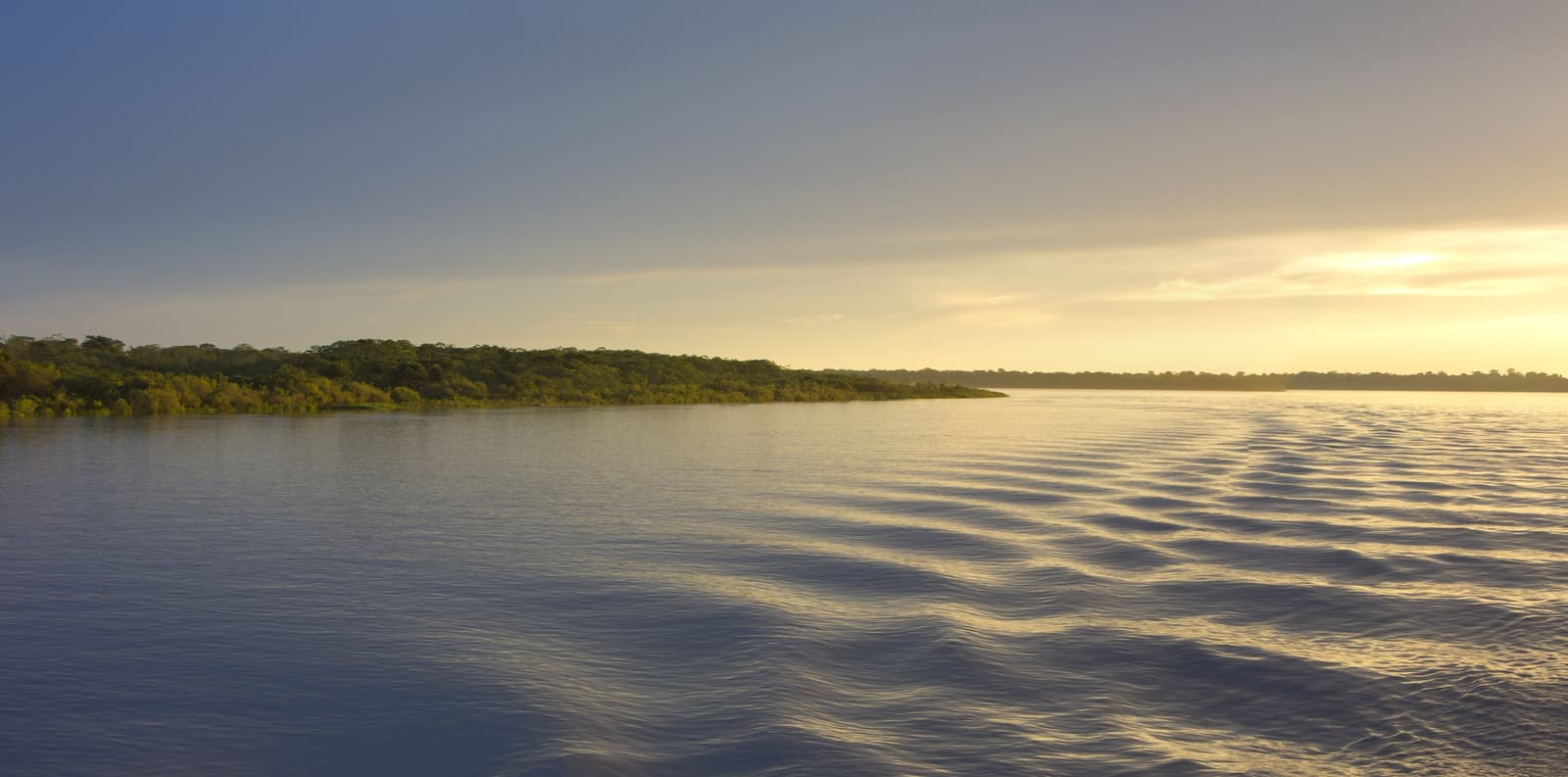 The river keeps moving long after the engine goes quiet. Golden sunrise light reflecting off a wide tropical river during an Amazon cruise from Alter do Chão, with a dense green forest shoreline stretching to the horizon