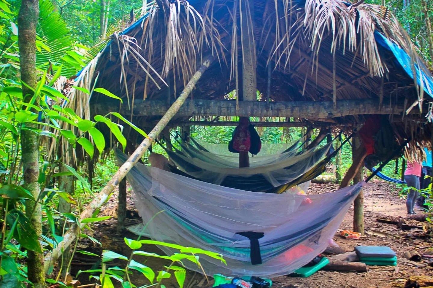 Your bedroom tonight has no walls, no Wi-Fi, and an excellent roof. Hammocks with mosquito nets strung beneath a rustic palm-thatched shelter on an Amazon survival tour, surrounded by dense rainforest vegetation