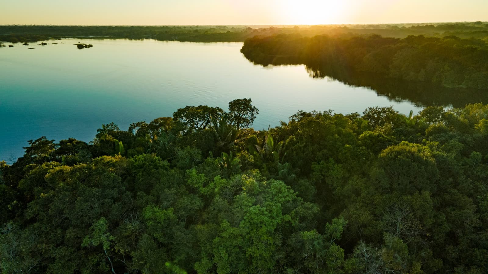 The forest and the river, doing what they do best at the end of the day. Aerial view of a wide tropical river bordered by dense Amazon jungle canopy at golden-hour sunset, the glowing sky reflected on the still water