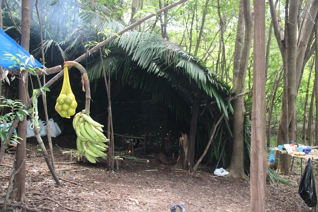 Lunch is sorted. Camp comes together one palm frond at a time. A palm-leaf shelter in a forested Amazon survival tour campsite, with a bunch of green bananas and a net bag of fruit hanging from a branch in the foreground