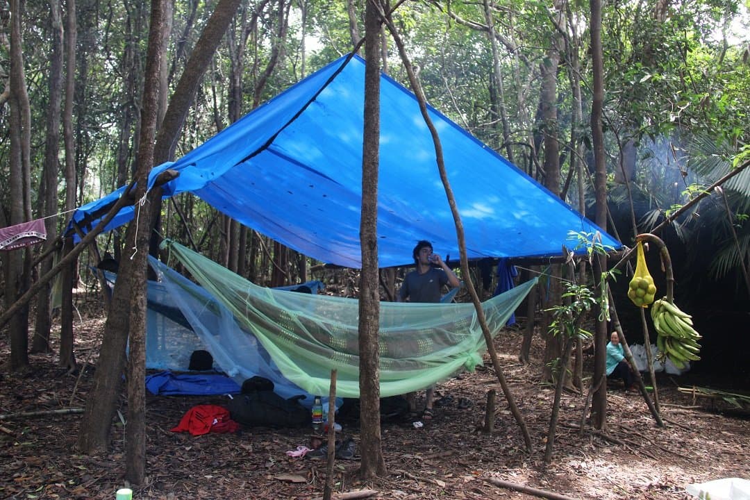 Home for the night: a tarp, a hammock, and bananas within arm's reach. A blue tarp shelter rigged between forest trees over a mosquito-netted hammock on an Amazon trek and survival tour, with a traveller drinking at camp and bananas hanging from a branch nearby
