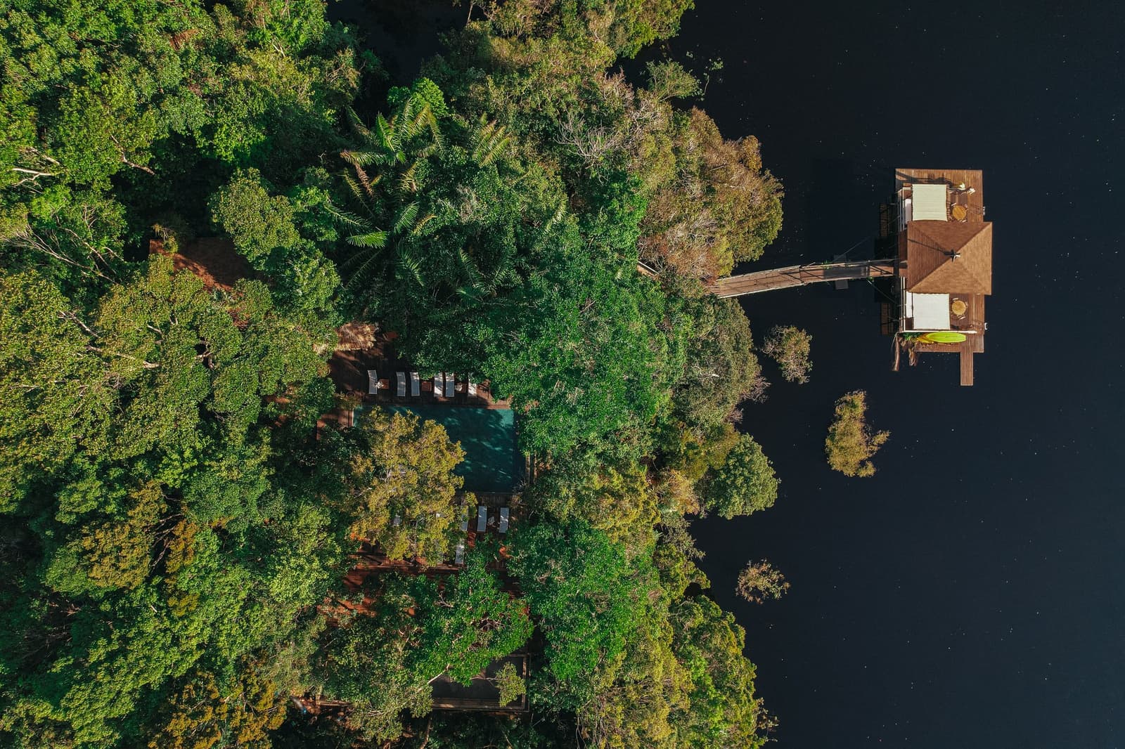 Half forest, half river, the lodge can't quite decide, and that's the point. Aerial drone view of Anavilhanas Jungle Lodge Brazil showing a treetop swimming pool, wooden walkways, and an overwater bungalow extending into the dark waters of the Rio Negro