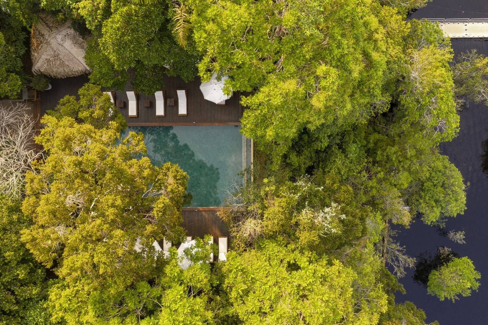 The forest practically swallowed the pool whole, and honestly, we don't mind. Aerial view of Anavilhanas Jungle Lodge Brazil showing an infinity pool on a hardwood deck tucked beneath a dense rainforest canopy, with white sun loungers and a thatched-roof structure visible through the treetops beside a dark-water river channel