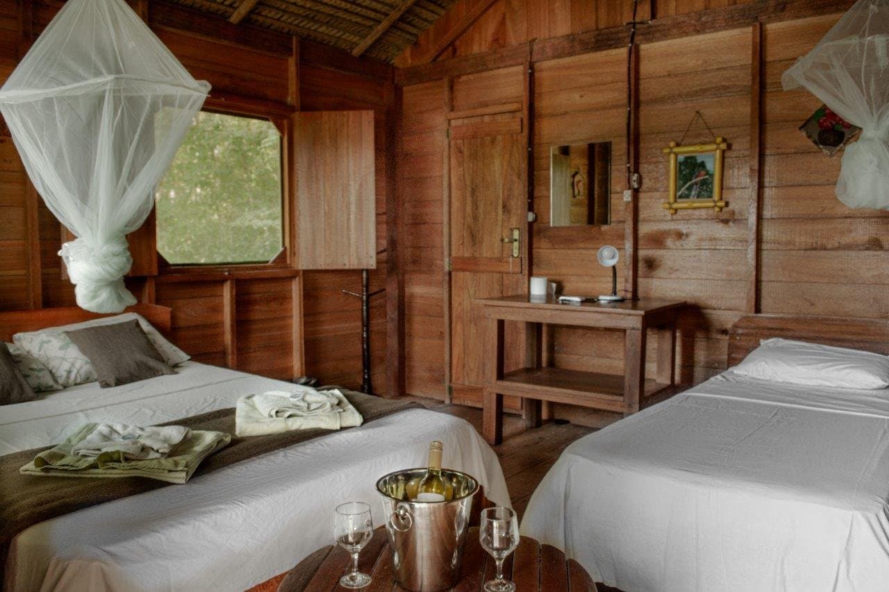 A chilled bottle waiting, mosquito nets overhead â comfort deep in the rainforest. Twin-bed jungle lodge room with white mosquito nets, warm hardwood walls, and a chilled wine bottle in a silver ice bucket on a wooden table, part of a brazilian amazon jungle tour stay