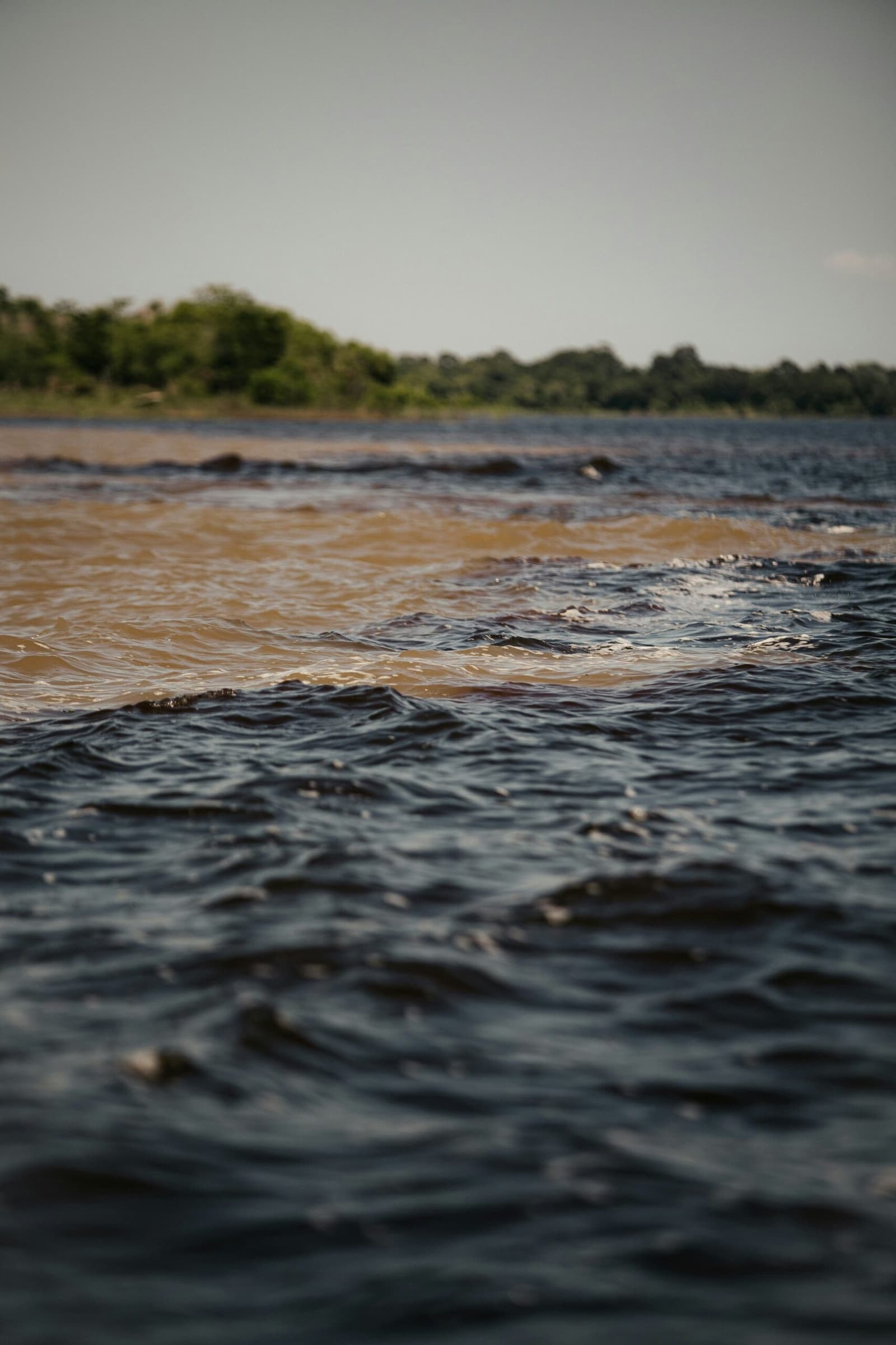 Two rivers, two colors, one invisible boundary. Two rivers with strikingly different colors â dark blackwater and sandy brown â flowing side by side without mixing, a natural wonder seen on the brazilian amazon jungle tour