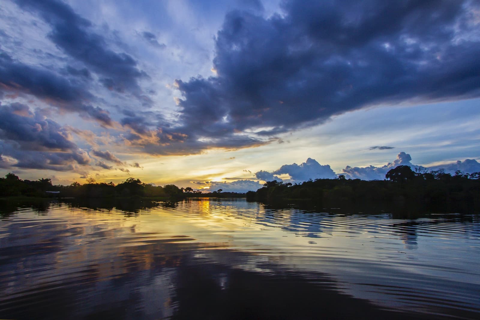Storm clouds, golden water, jungle silence â dusk on the Amazon river. Photo: David Nascimento @ A dramatic sunset over a wide Amazonian river on a brazilian amazon jungle tour, with golden light reflecting off calm water and silhouetted rainforest trees lining both banks beneath deep blue storm clouds