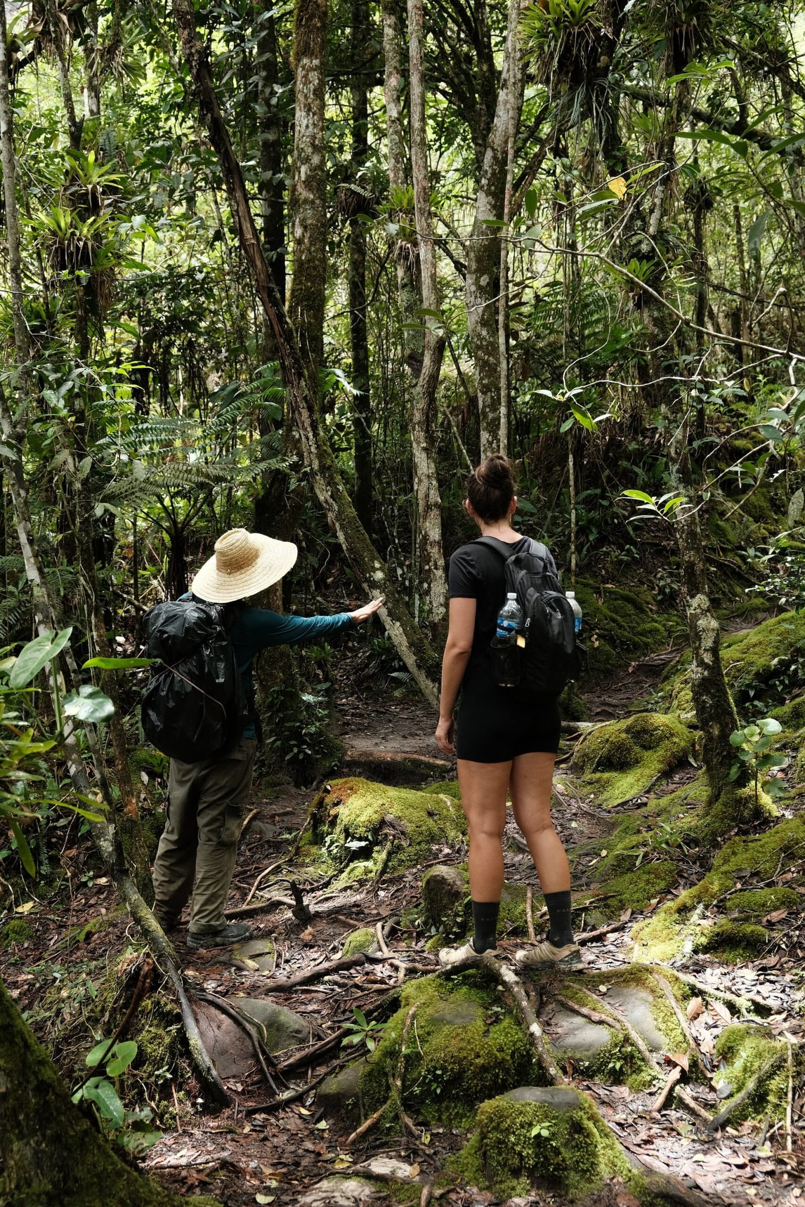 Good guides don't just lead the way, they make you notice things you'd have walked right past. A guide in a straw hat points ahead on a mossy, root-laced trail during a chapada diamantina hike, while a traveller with a backpack looks into the dense green forest