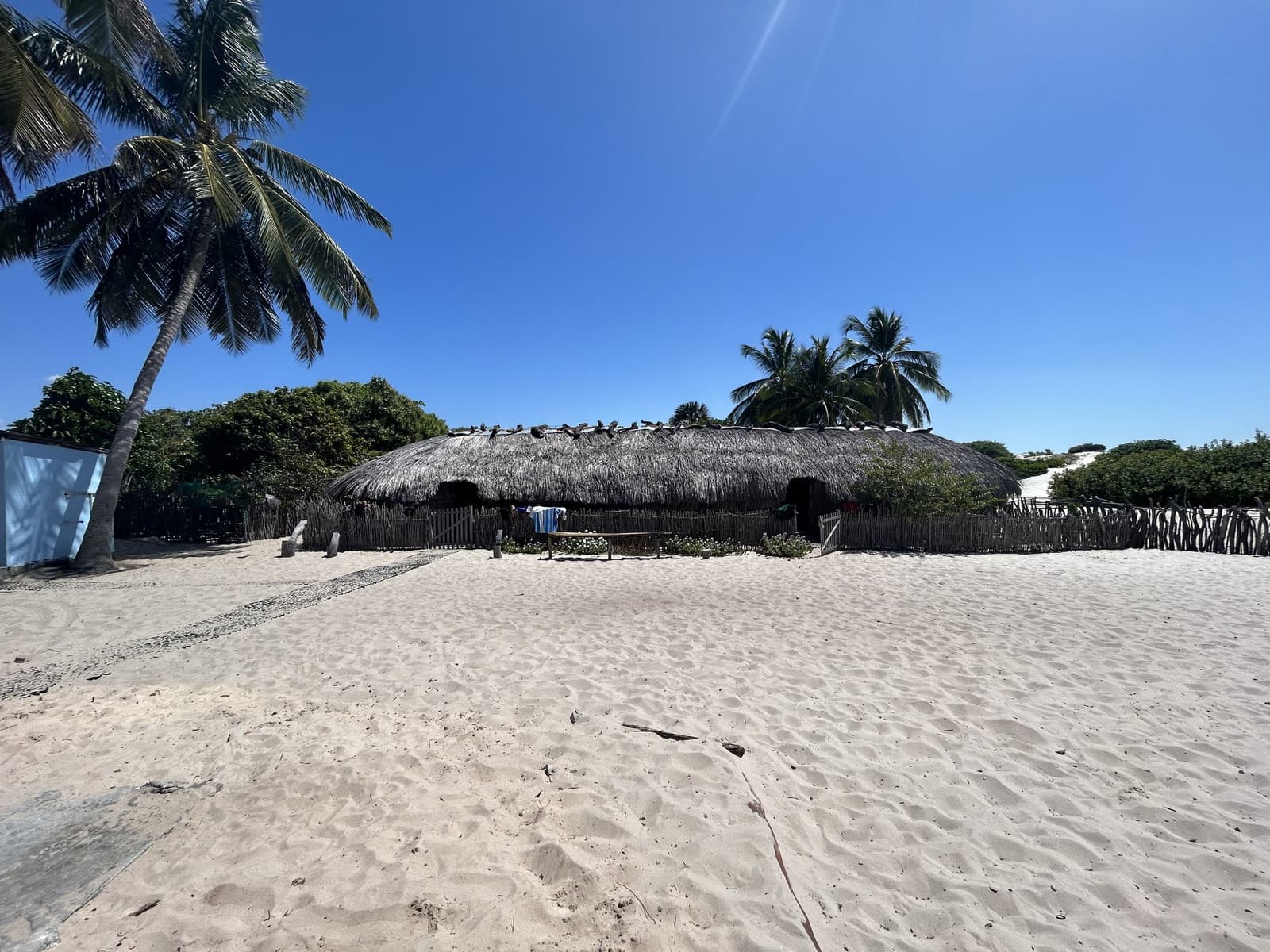 Local life built to last, right where the sand begins. A wide thatched-roof lodge surrounded by a rustic wooden fence, coconut palms, and white sand dunes under a clear blue sky on the horseback riding Lençóis Maranhenses tour