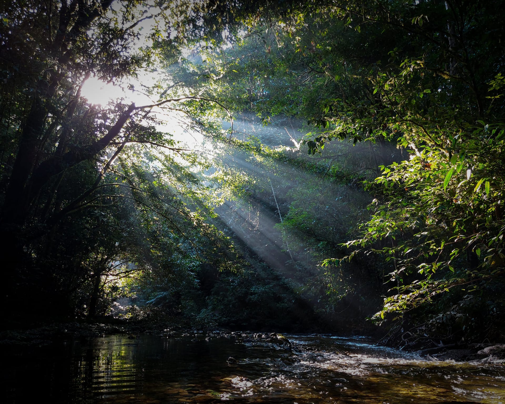 Best Places to Visit in the Amazon, Brazil Best Places to Visit in the Amazon, Brazil