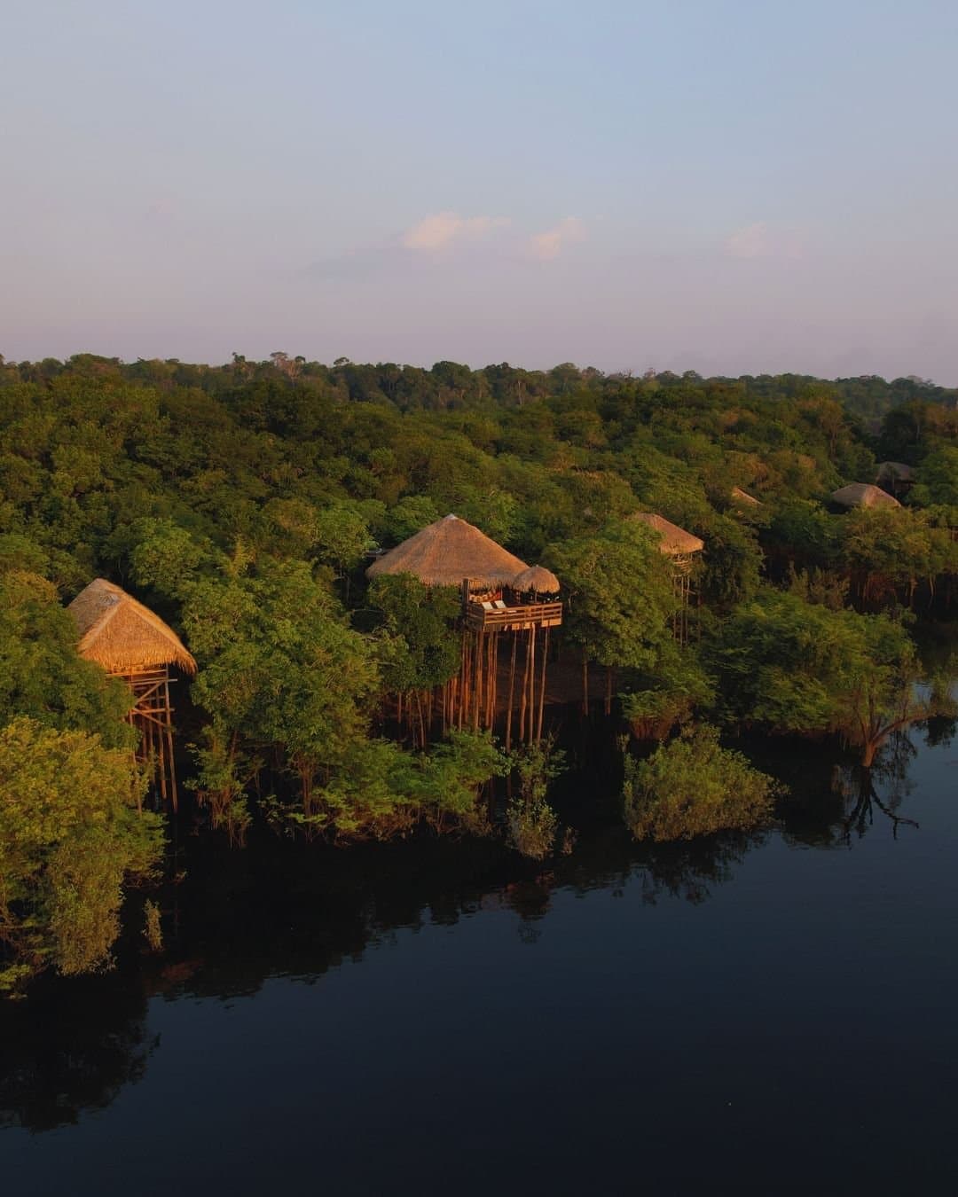 Your room is in the treetops, and the river is right below. No commute required. Aerial view of Juma Amazon Jungle Lodge showing thatched bungalows elevated on wooden stilts above the rainforest canopy beside a dark mirror-flat river at golden hour