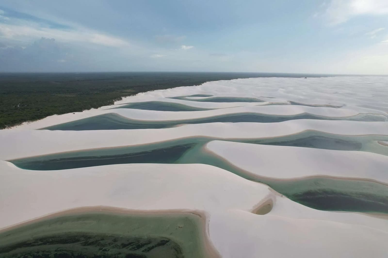 Sand dunes with pools of water in between, nature's idea of a jigsaw puzzle. Aerial view of the Lençóis Maranhenses trip landscape showing vast white sand dunes interspersed with turquoise-green freshwater lagoons stretching to a dark green tree line on the horizon