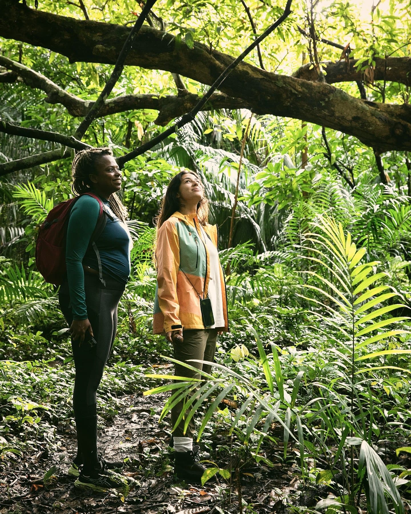 The canopy has a way of stopping you mid-sentence. Two women stand on a shaded forest trail surrounded by dense tropical undergrowth, gazing upward into the rainforest canopy during a guided walk at a luxury amazon lodge brazil experience