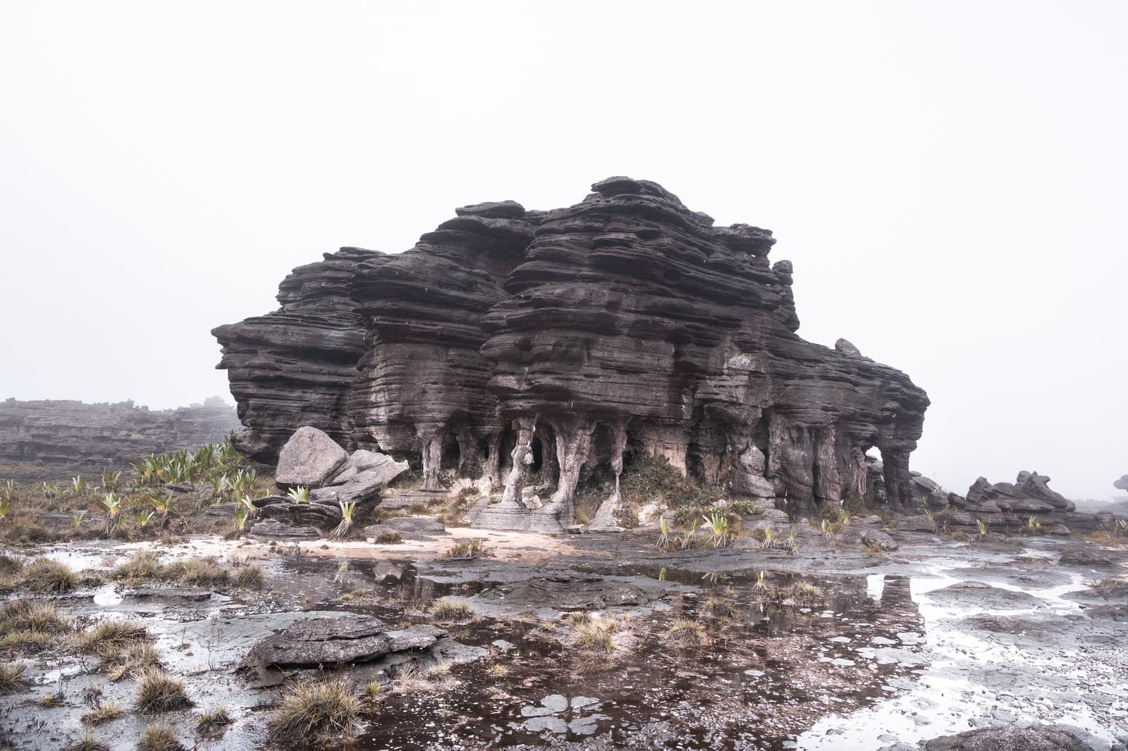 Roraima's plateau keeps its own time, carved by rain over millions of years. Layered sandstone rock formation rising from the wet tepui plateau on a Mount Roraima hike, with bromeliad rosettes scattered across the foreground and thick mist dissolving the horizon