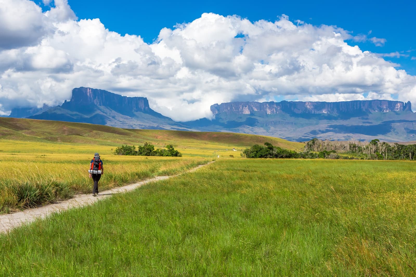 The trail puts the whole ancient plateau right in front of you. One foot at a time. A lone backpacker walks a dirt trail through vast golden and green grasslands on the Mount Roraima hike, with the flat-topped tepui massif rising dramatically under billowing cumulus clouds