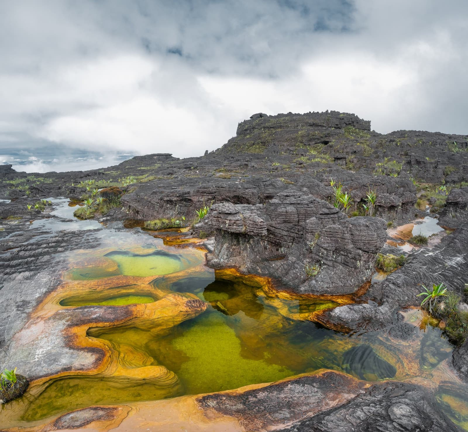 Two billion years of geology, pooled into something that looks like it belongs on another planet. Vivid green and amber-stained natural rock pools on the summit plateau of the Mount Roraima hike, with layered sandstone formations and low clouds rolling in overhead