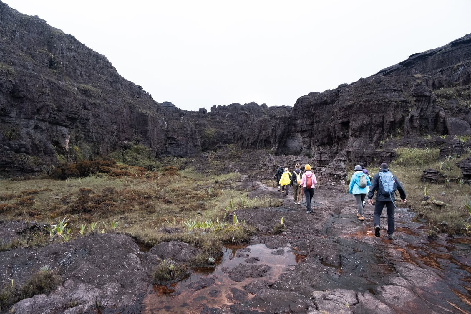 Up here, the rocks are ancient and the weather has its own plans. A group of trekkers in colorful rain gear crossing wet ancient tepui rock on a Mount Roraima hike, surrounded by towering dark sandstone canyon walls and sparse highland vegetation under an overcast sky
