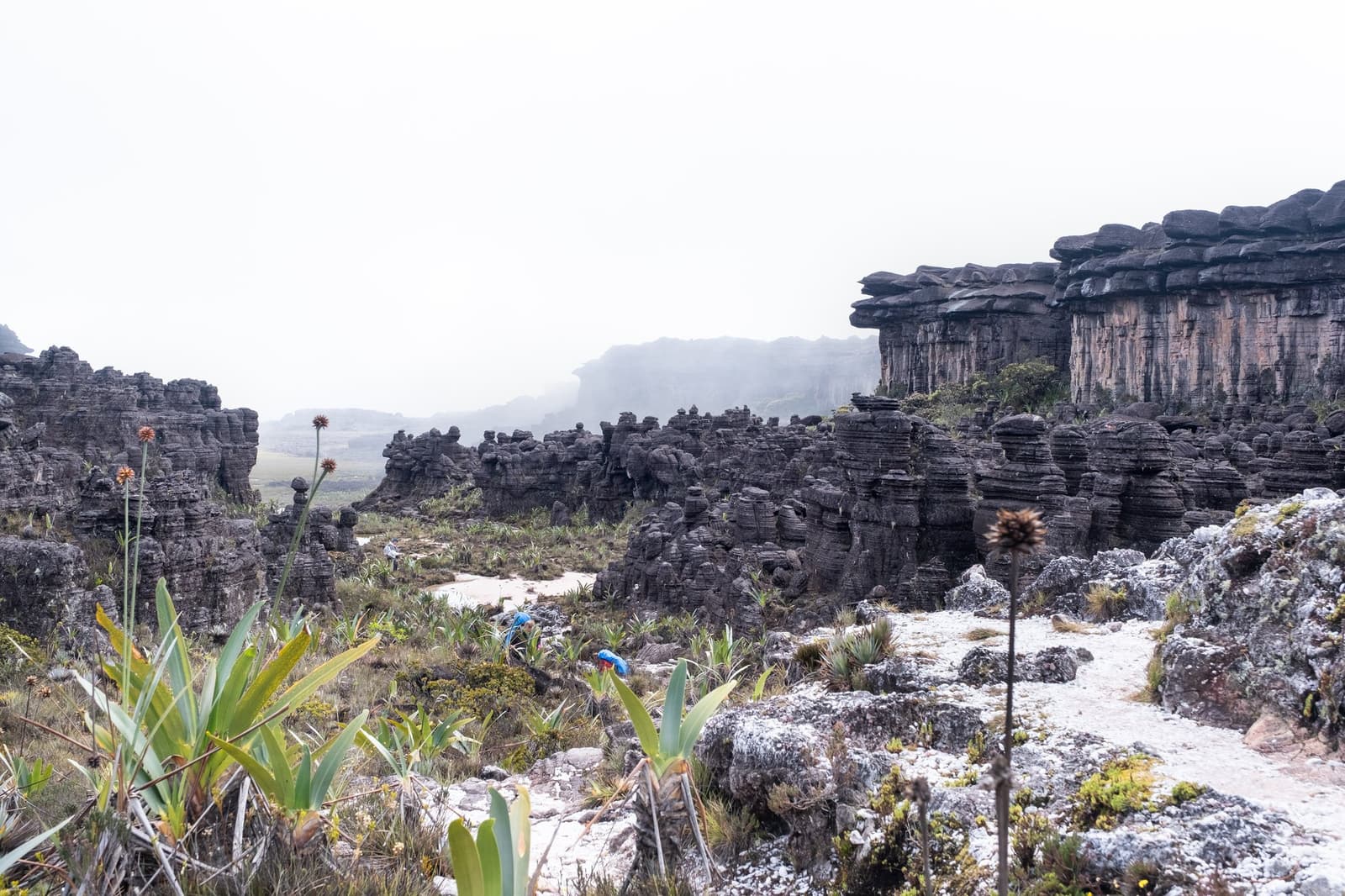 A landscape so old it makes you feel like the newcomer. Ancient black sandstone pillars and bromeliad-studded plateau on a Mount Roraima hike, shrouded in mist with two hikers visible among the weathered formations