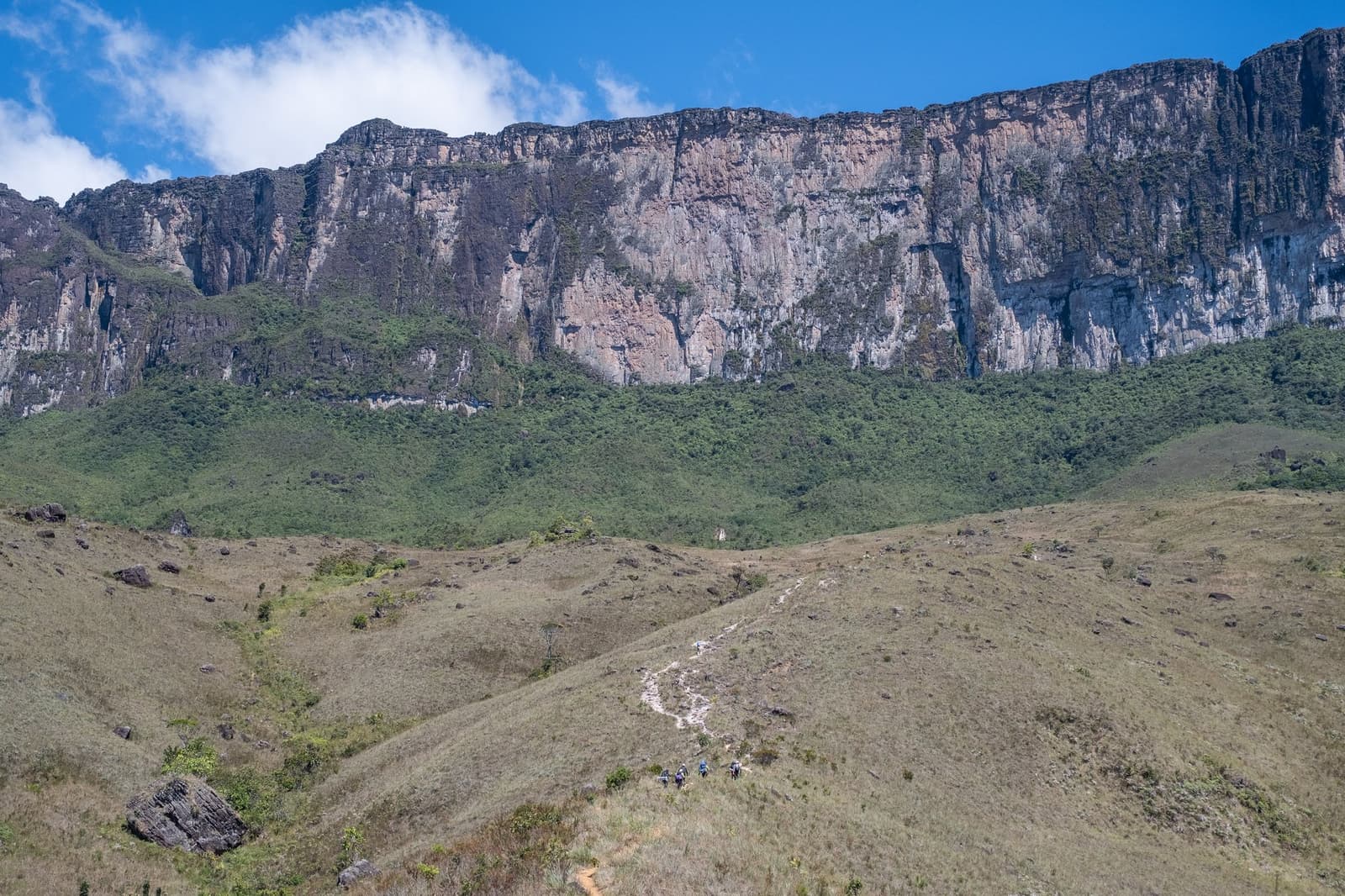 The wall gets bigger with every step. That's the point. A small group of hikers following a winding dirt trail across open savanna grassland on a Mount Roraima hike, with the towering ancient sandstone escarpment filling the horizon beneath a blue sky