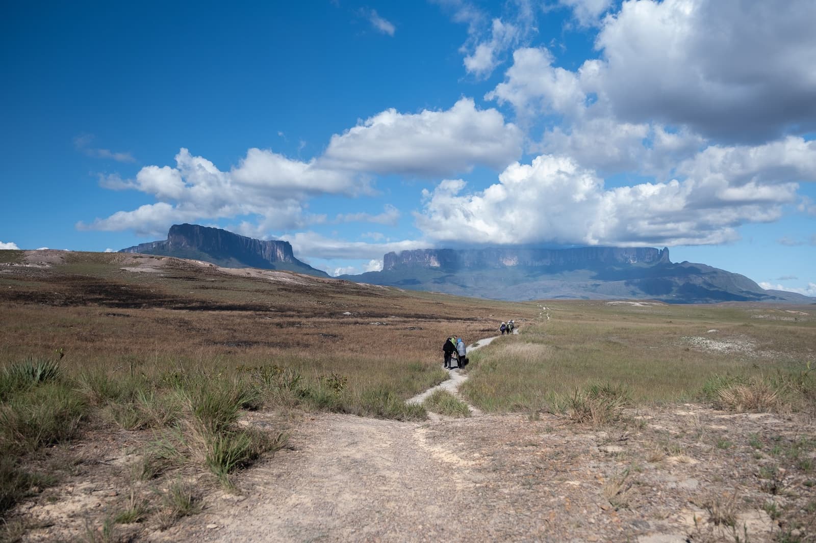 The tepuis are closer than they look. Keep walking. A group of trekkers follows a narrow dirt path across open savannah grassland on the Mount Roraima trek, with two massive flat-topped tepuis rising sharply against a blue sky in the background