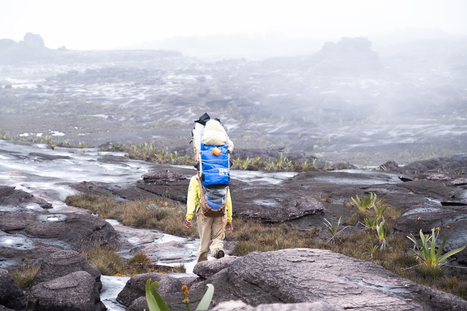 Up here, the clouds don't pass through, they move in and stay. A heavily loaded porter walks across the wet black rocky plateau of a Mount Roraima trek, surrounded by low bromeliad plants and thick swirling mist