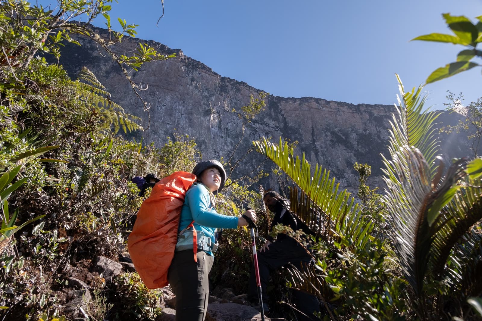 That moment you look up and realize the cliff is even bigger than yesterday. A hiker with a large orange pack and trekking pole gazes up at a towering vertical tepui cliff face during the Mount Roraima trek, surrounded by bromeliads and ferns under a deep blue sky