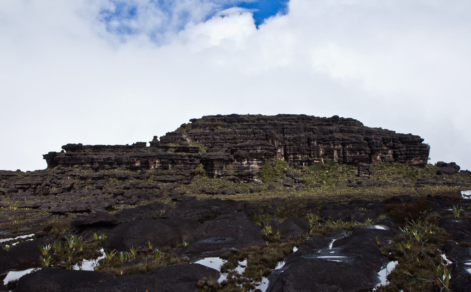 Billions of years of geology, stacked right in front of you. Ancient layered sandstone cliffs of a tepui summit plateau on the Mount Roraima trek, with rain pools and sparse endemic vegetation covering the dark rocky foreground under a partly cloudy sky