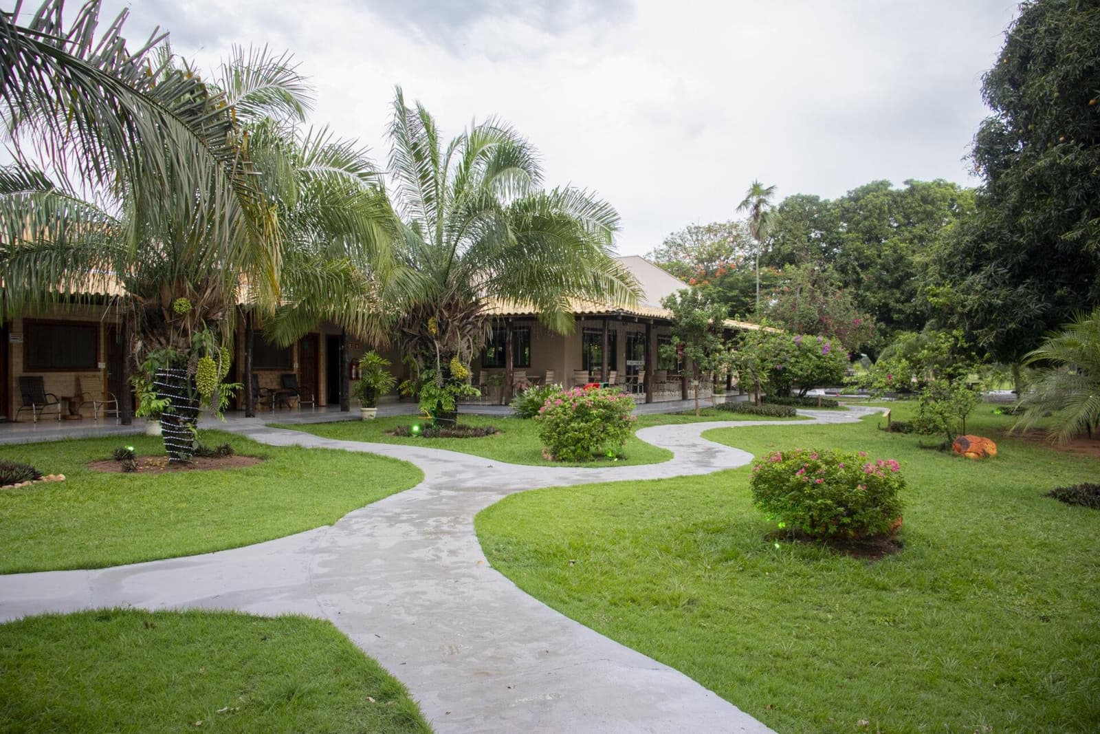 The grounds slow you down before the wetlands even begin. A winding concrete pathway curves through a lush tropical garden leading to low-roofed lodge bungalows surrounded by palm trees and flowering shrubs â the kind of comfortable, affordable base that makes a pantanal jaguar budget safari accessible