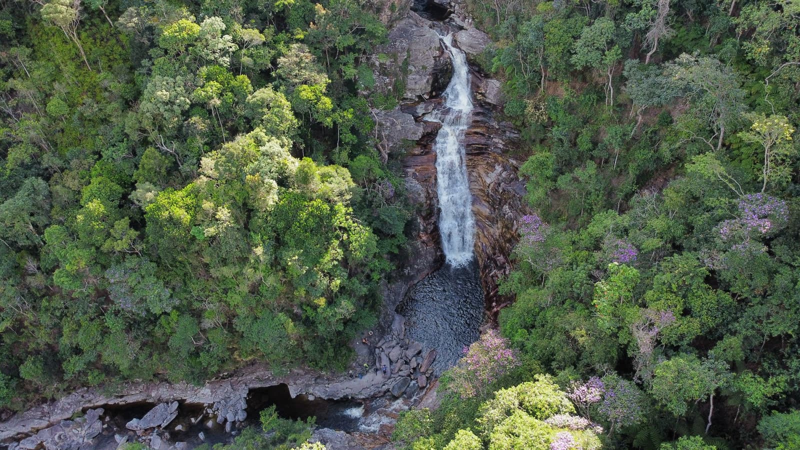 From up here, the forest swallows everything except the water finding its way down. Aerial view of a tall waterfall cascading down a dark rock face into a natural pool, surrounded by dense green forest with purple-flowering trees on the Pati Valley hike