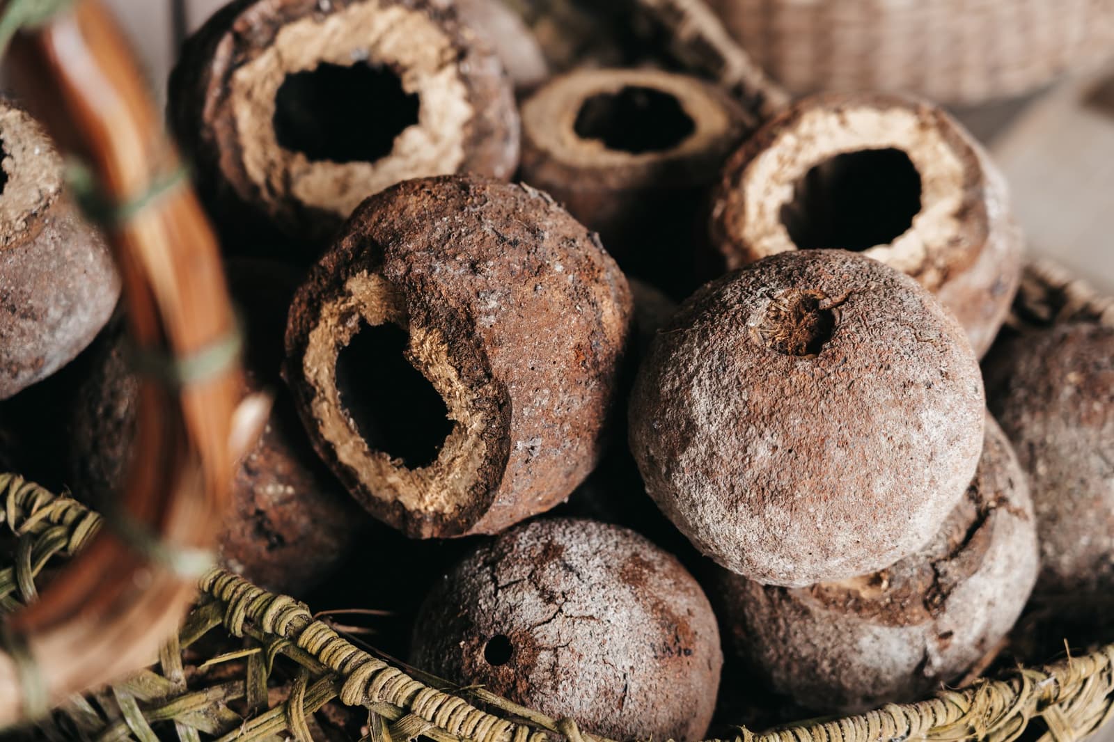 Centuries of forest knowledge, held in the palm of your hand. Dried hollow seed pods piled in a woven basket, displayed at the Seringal Museum on an untamed Amazon cruise