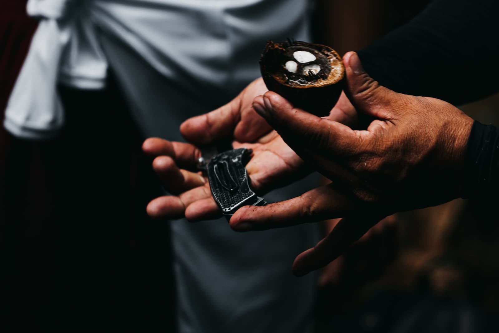 Your guide knows this fruit better than most chefs ever will. Weathered hands holding a halved tucumã palm nut and a small folding knife during a community visit on the untamed amazon cruise