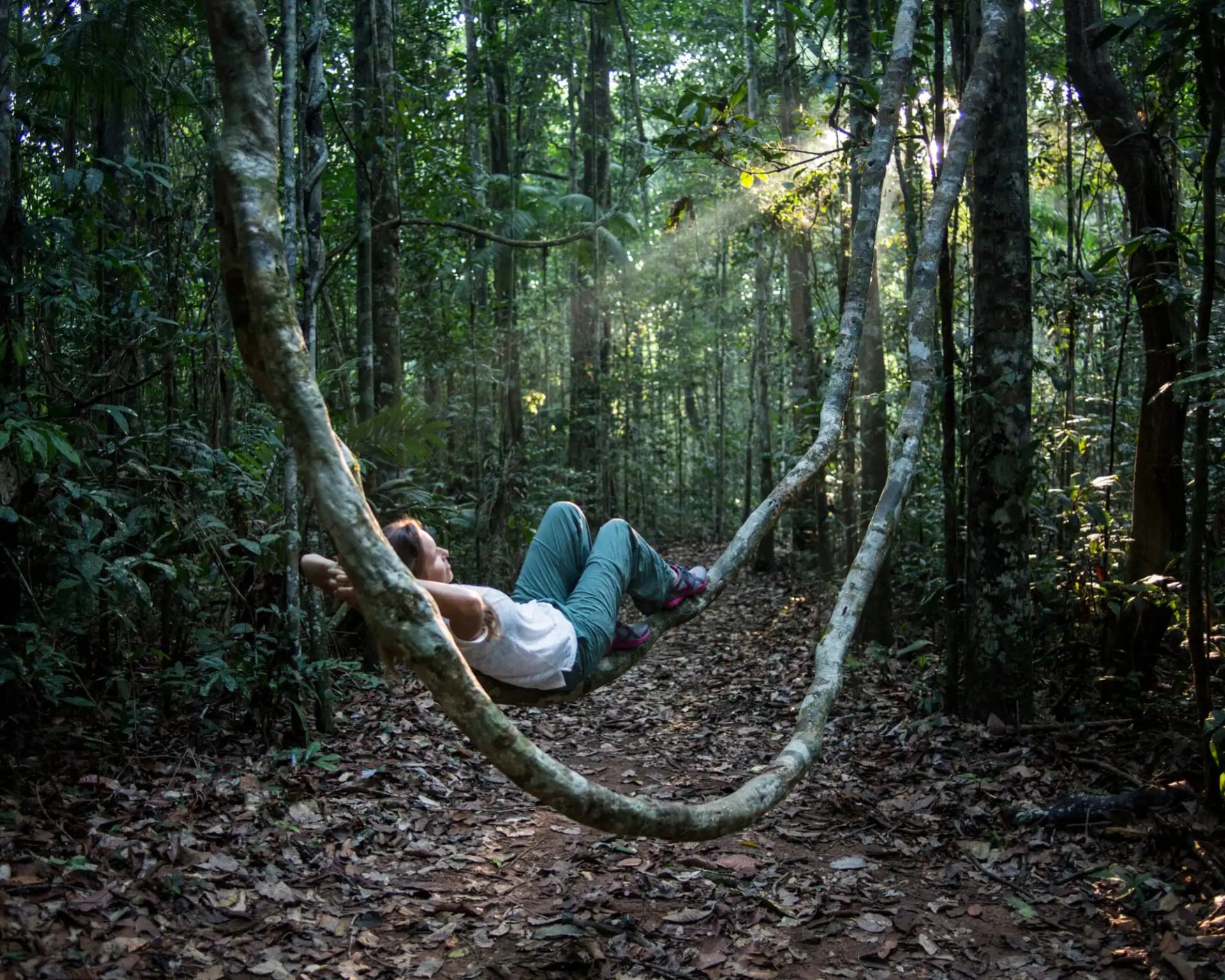 What to Do in the Amazon Rainforest: Top Outdoor Activities in Brazil What to Do in the Amazon Rainforest: Top Outdoor Activities in Brazil